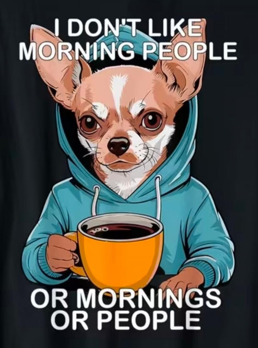 I DON'T LIKE MORNING PEOPLE OR MORNINGS OR PEOPLE