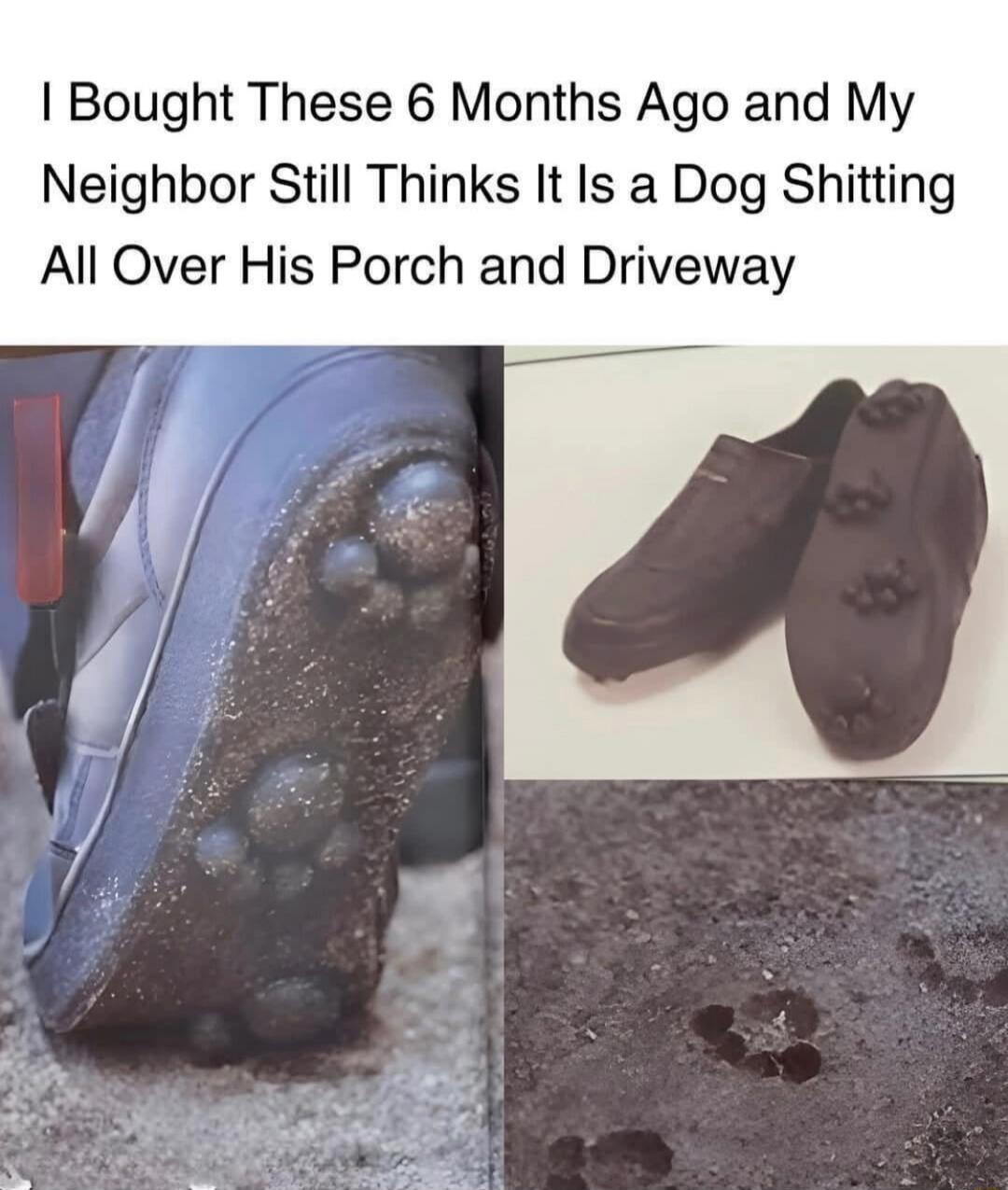 I Bought These 6 Months Ago and My Neighbor Still Thinks It Is a Dog Shitting All Over His Porch and Driveway