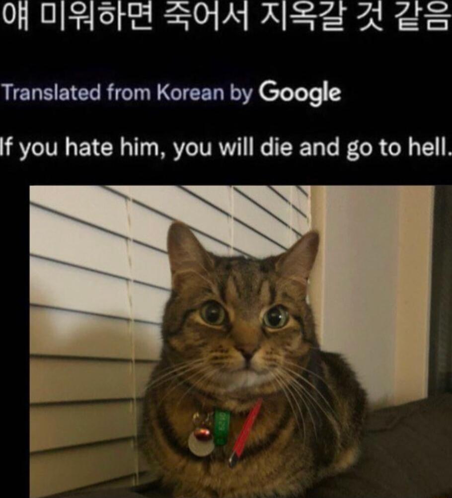 Of OIFsIE S0M XSE A 5 Translated from Korean by Google f you hate him you will die and go to hell