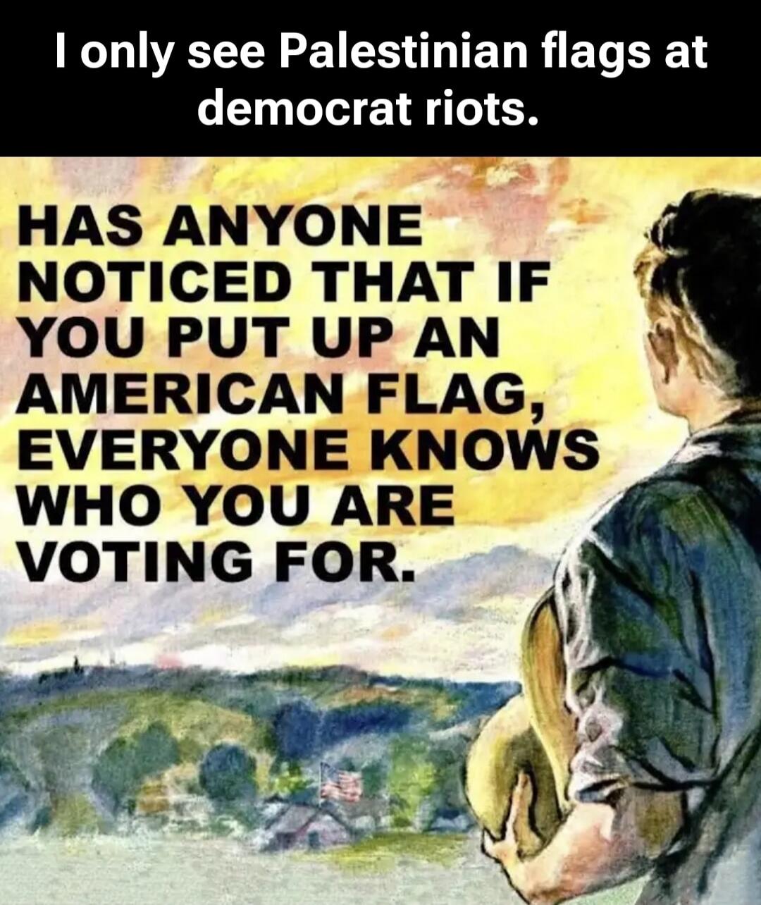 I only see Palestinian flags at democrat riots.
HAS ANYONE NOTICED THAT IF YOU PUT UP AN AMERICAN FLAG, EVERYONE KNOWS WHO YOU ARE VOTING FOR.