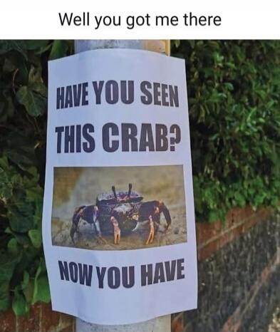 Well you got me there. HAVE YOU SEEN THIS CRAB? NOW YOU HAVE