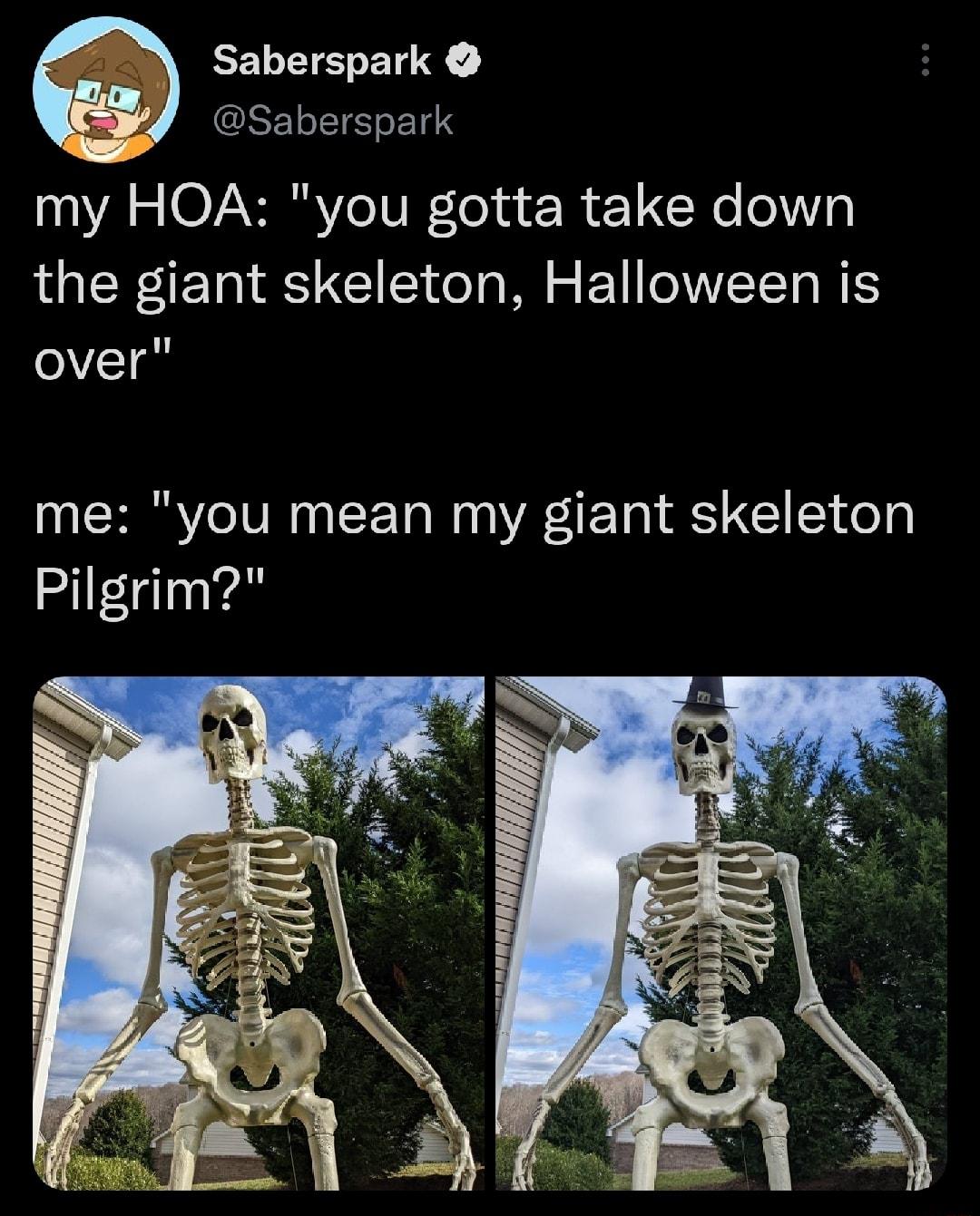 Saberspark Saberspark my HOA you gotta take down the giant skeleton Halloween is T me you mean my giant skeleton Pilgrim