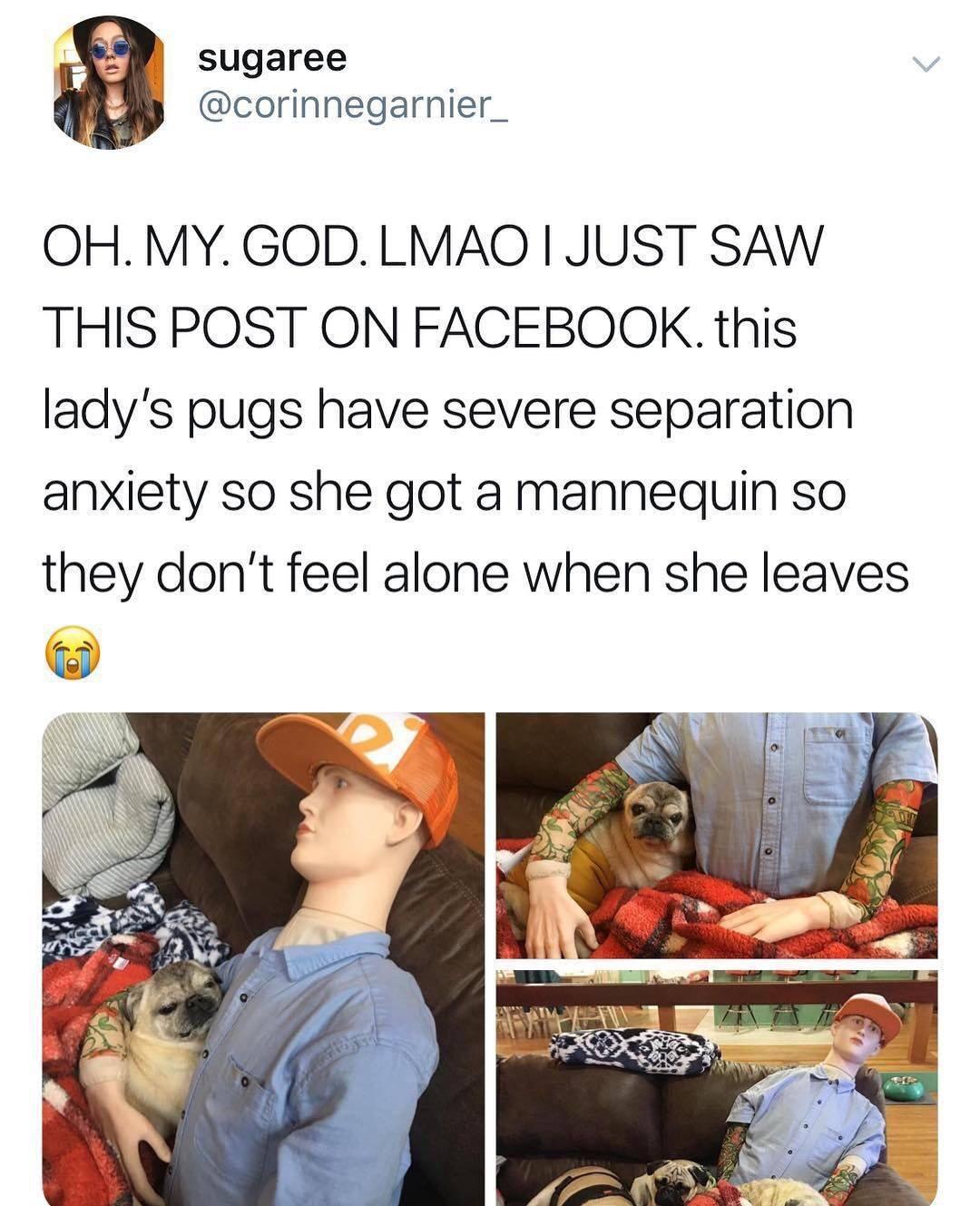 sugaree corinnegarnier_ OH MYGOD LMAQO JUST SAW THIS POST ON FACEBOOK this ladys pugs have severe separation anxiety so she got a mannequin so they dont feel alone when she leaves