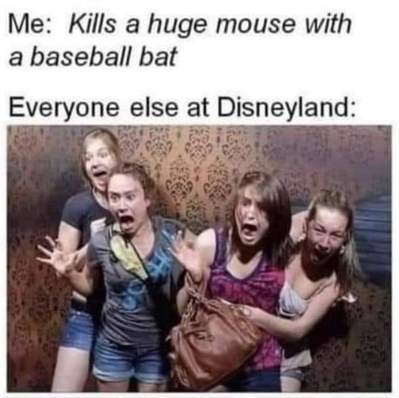 Me Kills a huge mouse with a baseball bat Everyone else atDisneyIand