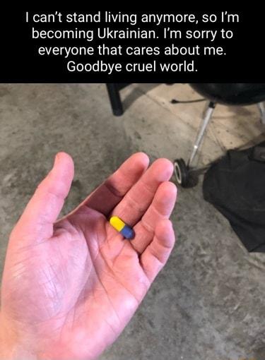 cant stand living anymore so Im becoming Ukrainian Im sorry to everyone that cares about me Goodbye cruel world