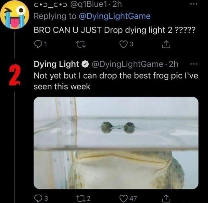 ce_ce q1Bluel 2h Replying to DyingLightGame S 2 v fu Dying Light DyingLightGame 2h Not yet but can drop the best frog pic Ive EECLRGIERIET