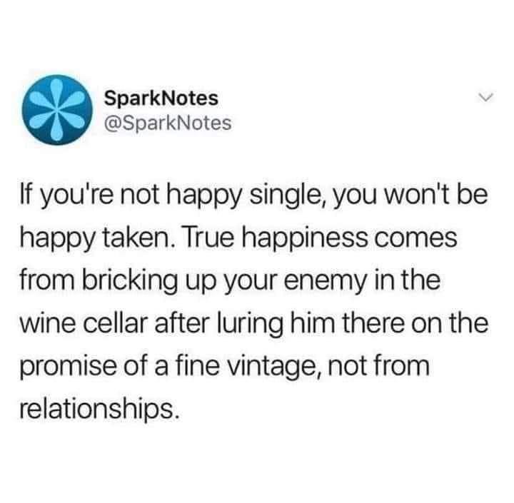 SparkNotes SparkNotes If youre not happy single you wont be happy taken True happiness comes from bricking up your enemy in the wine cellar after luring him there on the promise of a fine vintage not from relationships