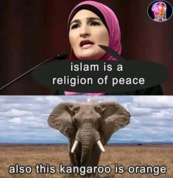 islam is a religion of peace also this kangaroo is orange