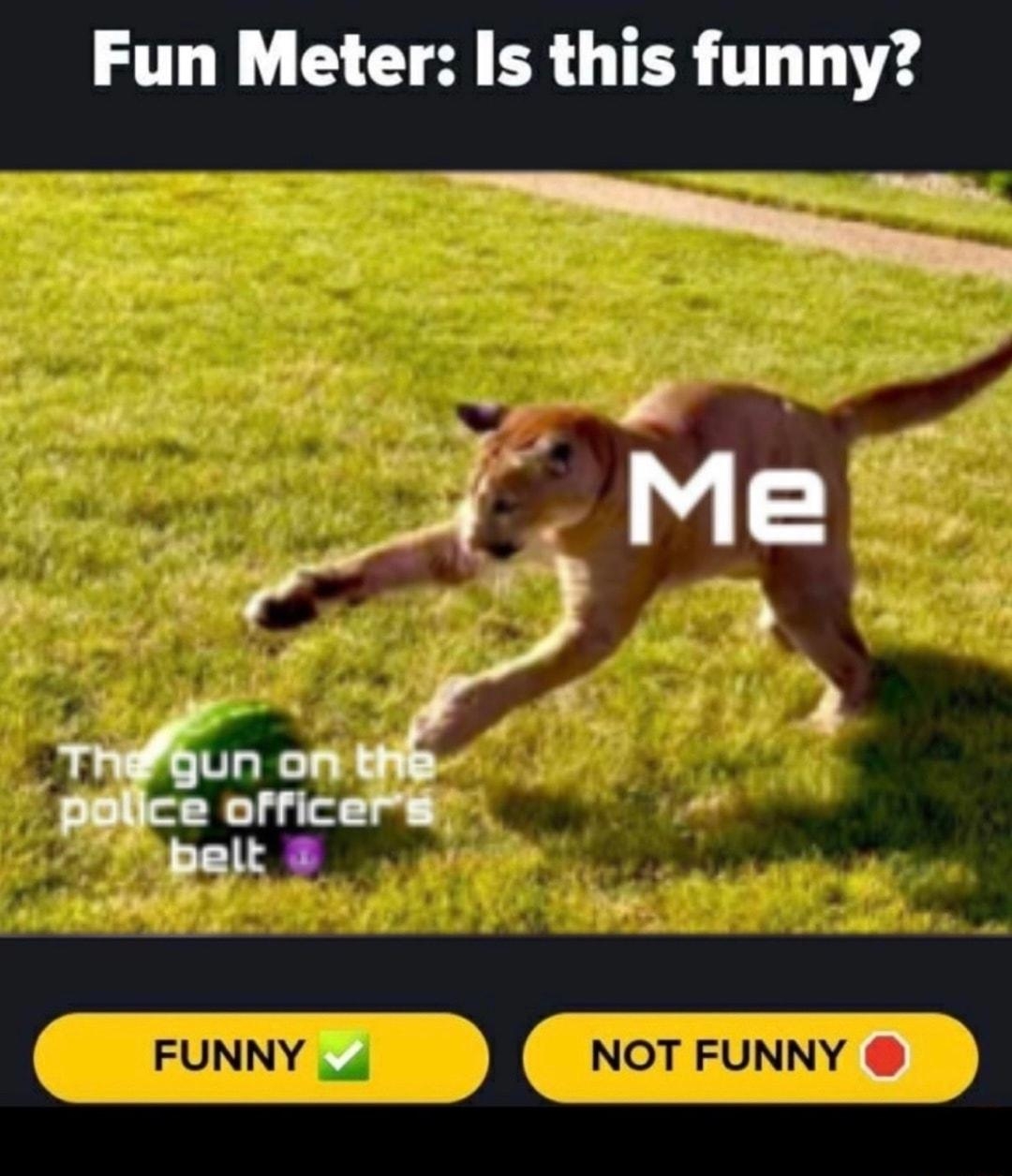 B Fun Meter Is this funny T