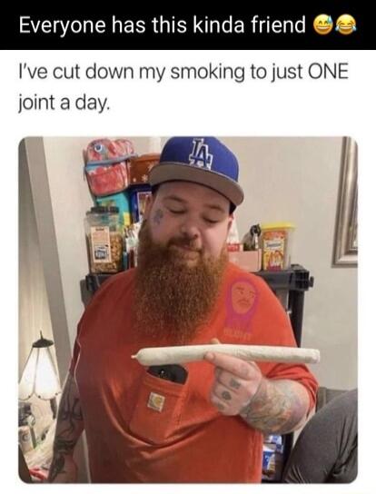 Everyone has this kinda friend Ive cut down my smoking to just ONE joint a day TR