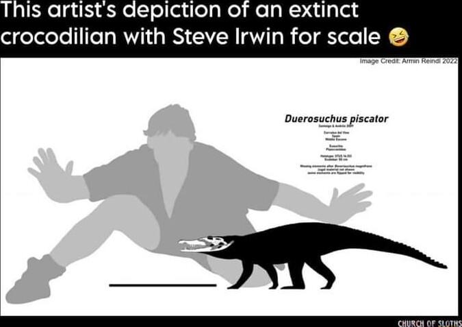 This artists depiction of an extinct crocodilian with Steve Irwin for scale Duerosuchus piscator