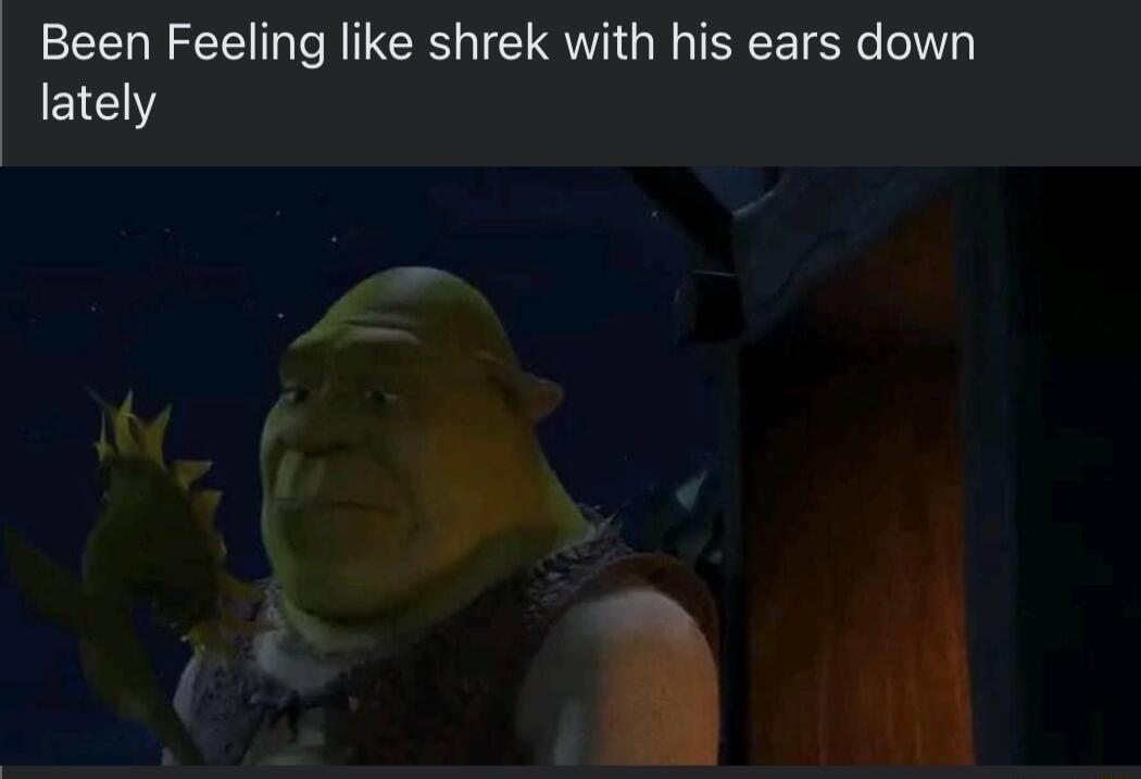 Been Feeling like shrek with his ears down E1EY