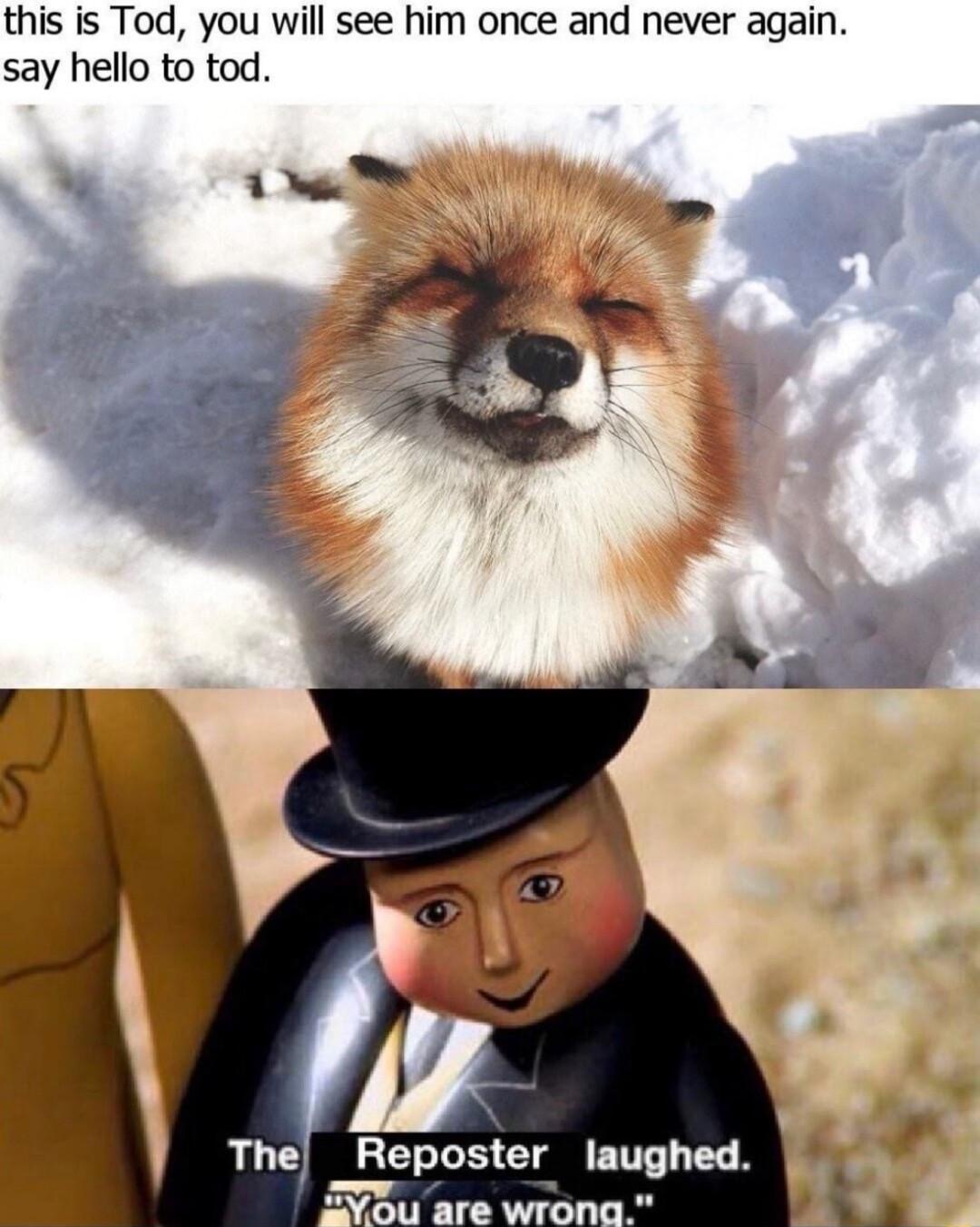 this is Tod you will see him once and never again say hello to tod AU ECE CIg T EL N v Y OU are Wron