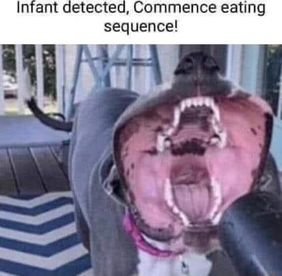 Infant detected Commence eating sequence