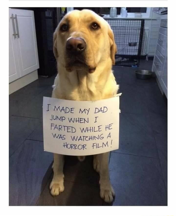 TMADE pty DAD UMPWHEN 3 ARTED wuu_t h WAS WATcHING A Hoppop FILM