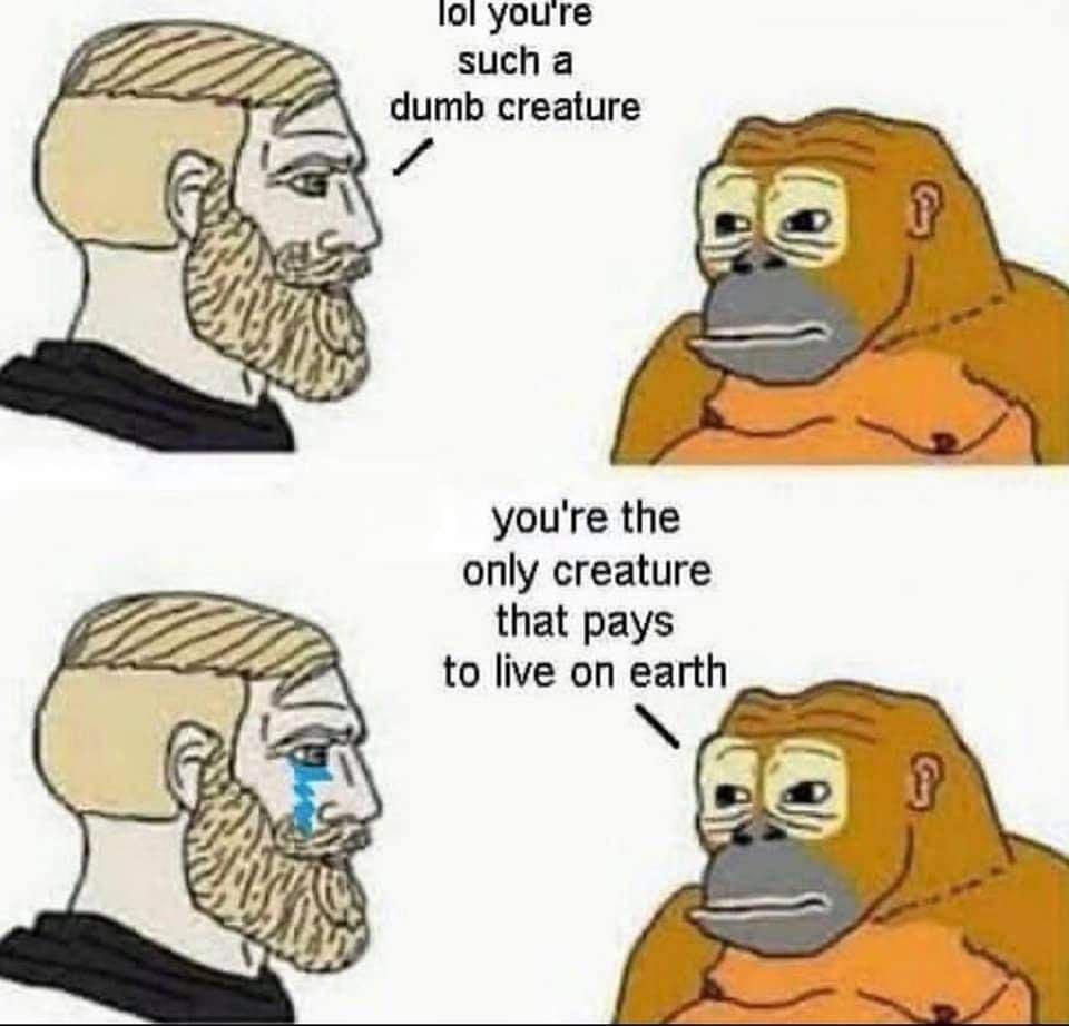 lol youre such a dumb creature youre the only creature that pays to live on earth