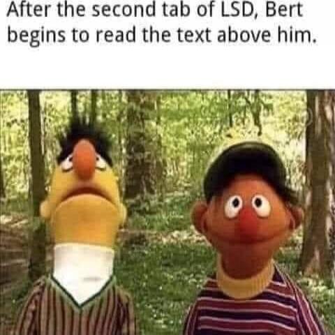 After the second tab of LSD, Bert begins to read the text above him.