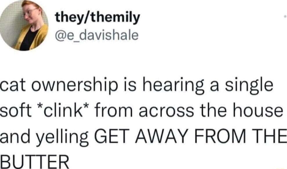 theythemily e_davishale cat ownership is hearing a single soft clink from across the house and yelling GET AWAY FROM THE BUTTER