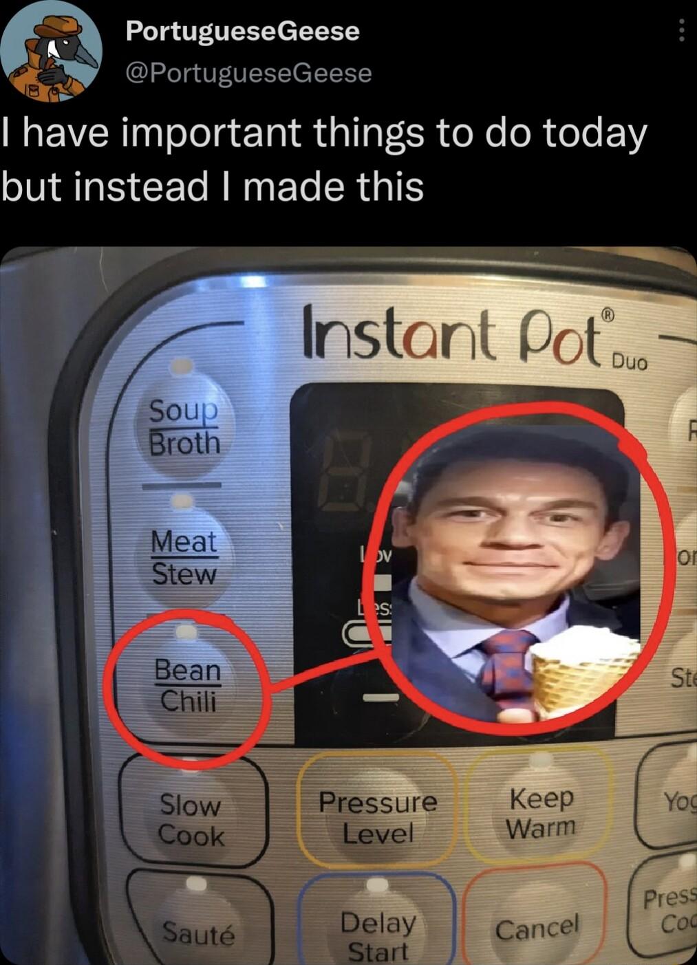 PortugueseGeese PortugueseGeese hve important things to do today SATSCE N NNET RG 4 B S Broth Mea Stew