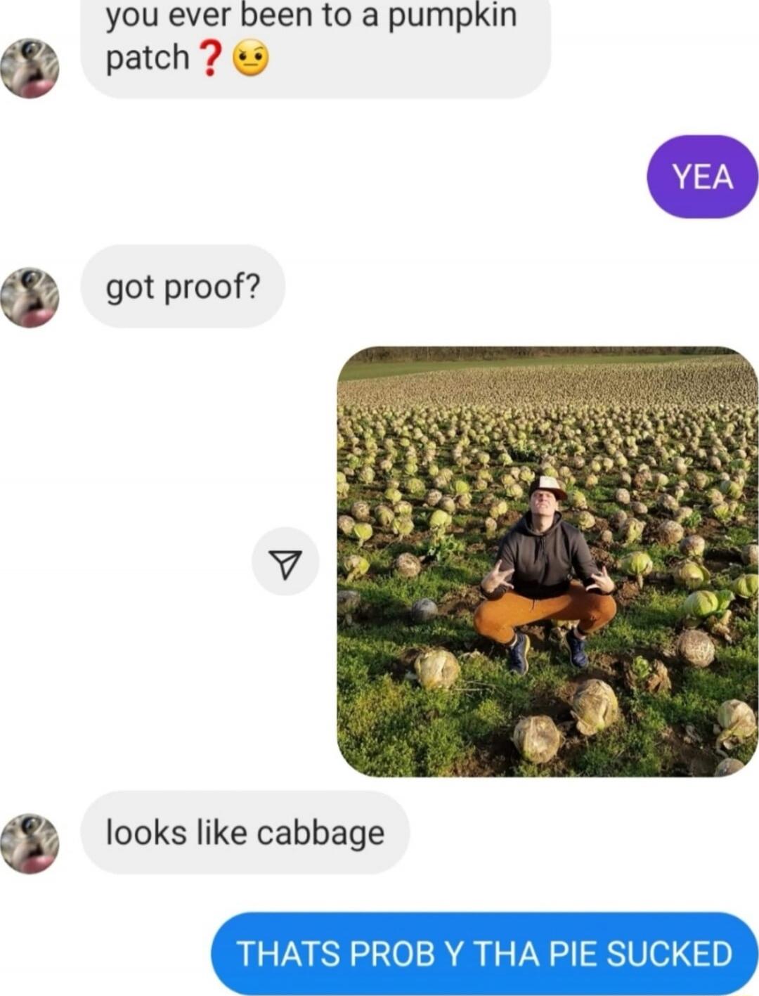 you ever been to a pumpkin patch ? 🤔
YEA
got proof?
[image of person sitting in pumpkin patch]
looks like cabbage
THATS PROB Y THA PIE SUCKED