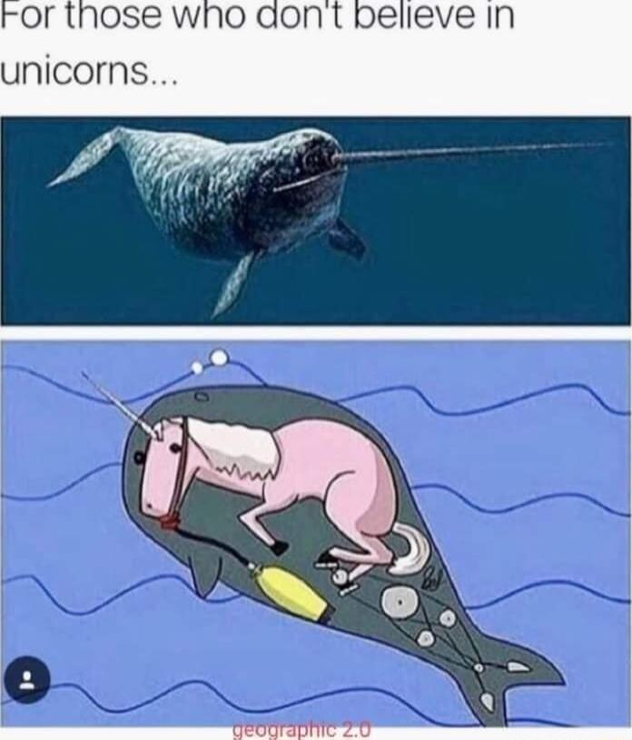 or those who unicorns
