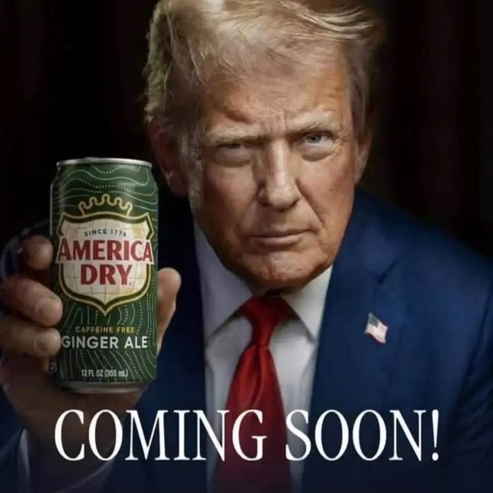 SINCE 1776 AMERICA DRY CAFFEINE FREE GINGER ALE 12 FL OZ (355 mL) COMING SOON!