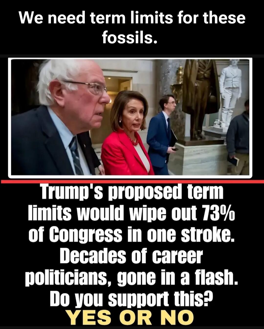 We need term limits for these fossils. Trump's proposed term limits would wipe out 73% of Congress in one stroke. Decades of career politicians, gone in a flash. Do you support this? YES OR NO