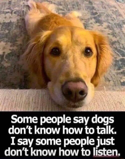 ad Some people say dogs dont know how to talk I say some people just dont know how to listen