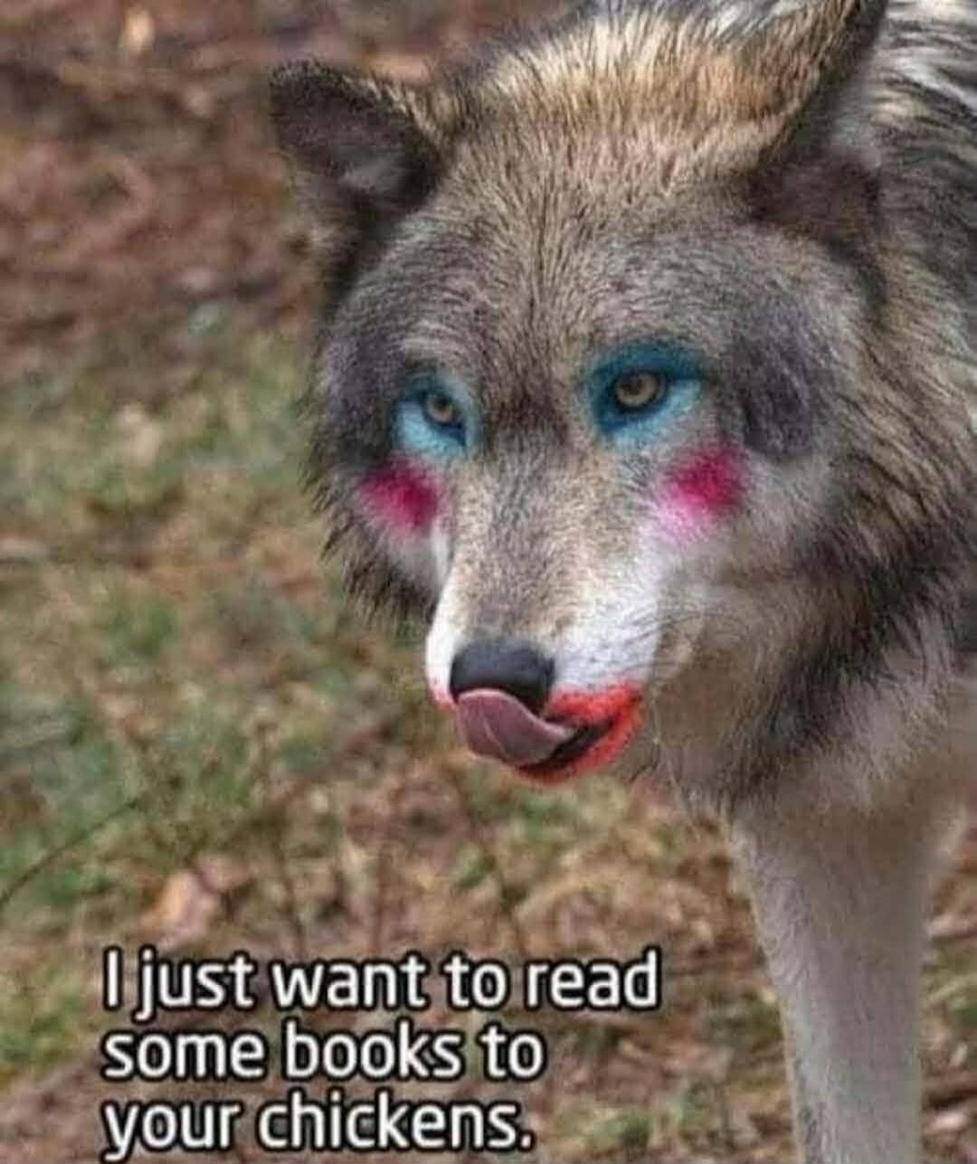I just want to read some books to your chickens.