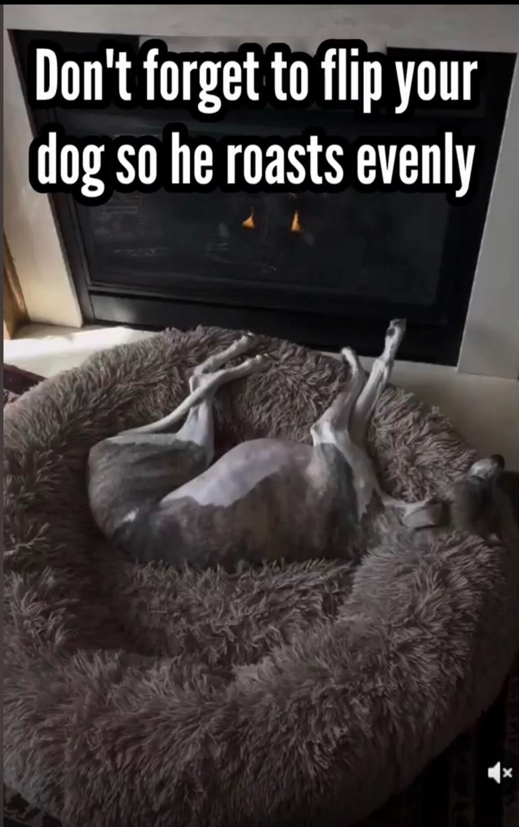 Don't forget to flip your dog so he roasts evenly