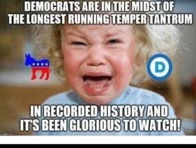 DEMOCRATS ARE IN THE MIDST OF THE LONGEST RUNNING TEMPER TANTRUM IN RECORDED HISTORY AND IT'S BEEN GLORIOUS TO WATCH!