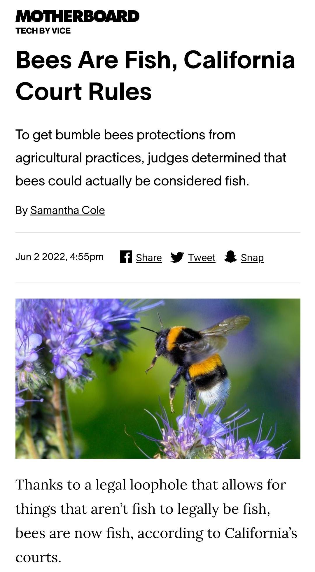 TECHBY VICE Bees Are Fish California Court Rules To get bumble bees protections from agricultural practices judges determined that bees could actually be considered fish By Samantha Cole Jun22022455pm share W Tweet Snap Thanks to a legal loophole that allows for things that arent fish to legally be fish bees are now fish according to Californias courts