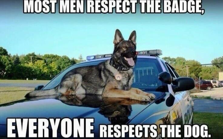 MOST MEN RESPECT THE BADGE, EVERYONE RESPECTS THE DOG.
Session ID: 1008287.