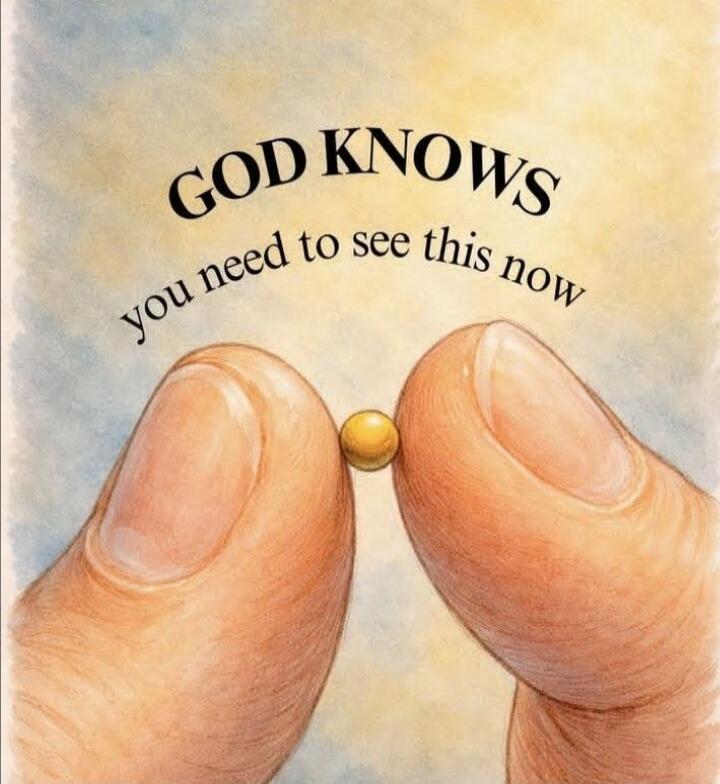 GOD KNOWS you need to see this now