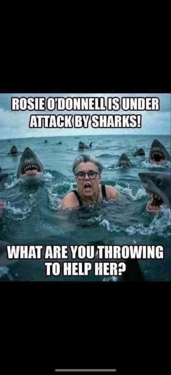 ROSIE O'DONNELL IS UNDER ATTACK BY SHARKS! WHAT ARE YOU THROWING TO HELP HER?