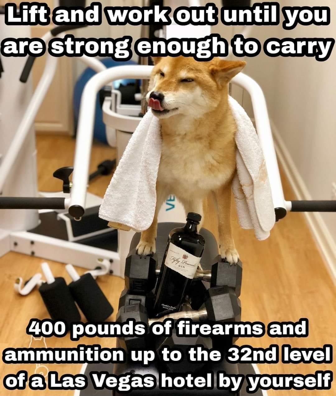 m LS GRULE D Fa strong enough bm poundsof firearmsand ammunition up to the 32nd llevel lofalas Vegashotel hy yourself