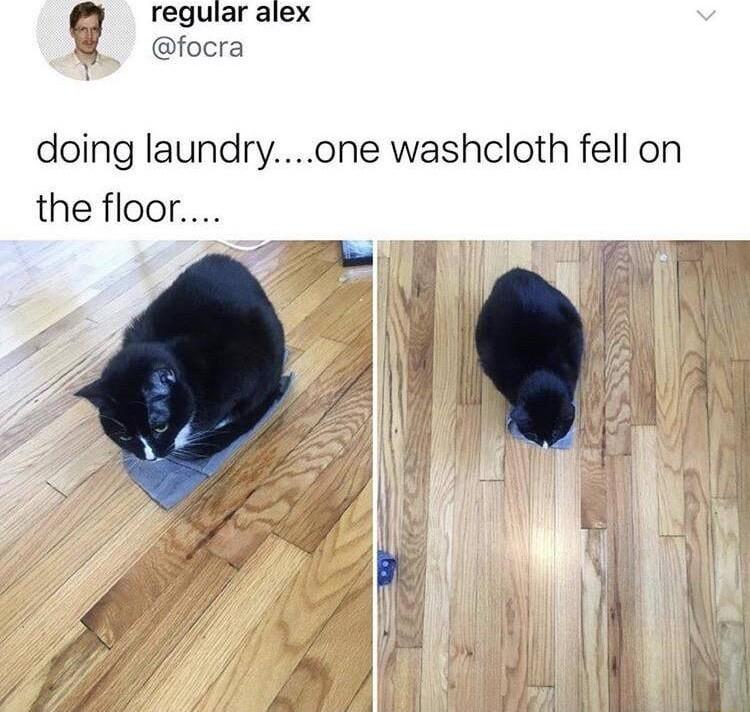 regular alex focra doing laundryone washcloth fell on the floor