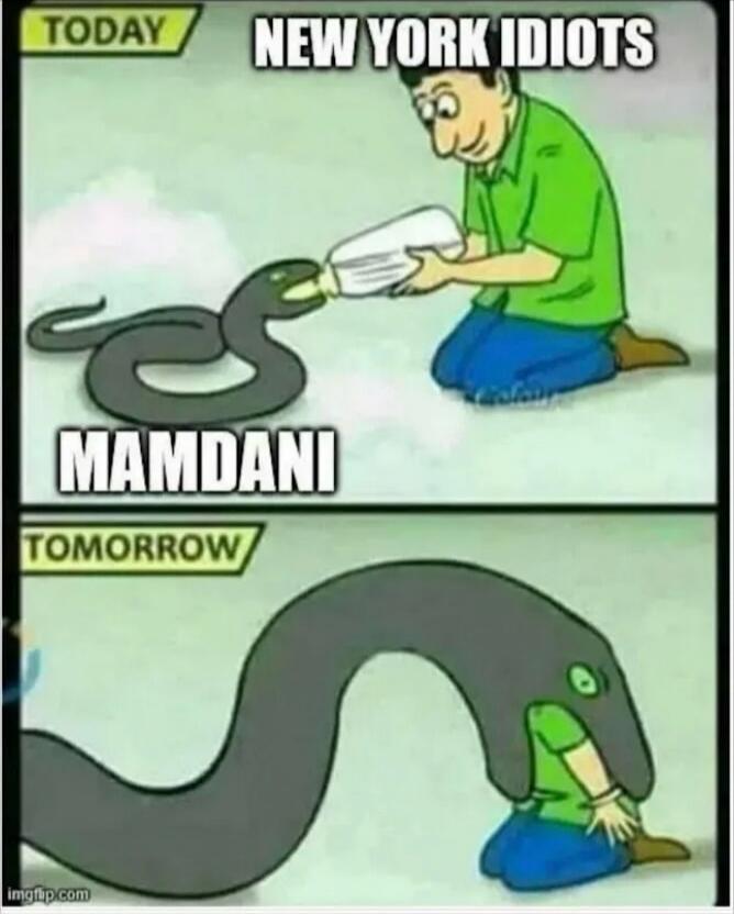 TODAY NEW YORK IDIOTS MAMDANI TOMORROW