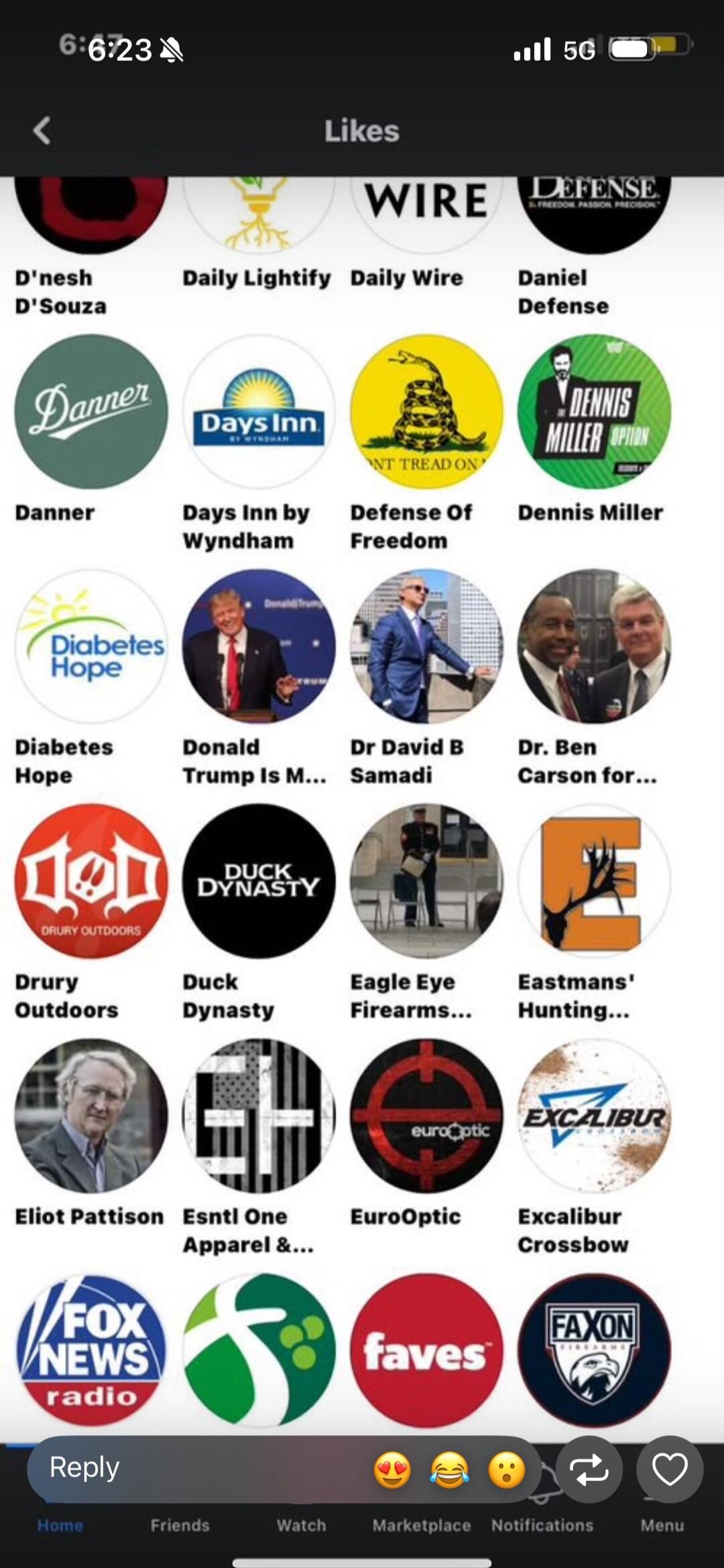 A screenshot of a social media 'Likes' page. The page displays various profiles and brands that the user has liked. Visible names and brands include: D'nesh D'Souza, Daily Lightify, Daily Wire, Daniel Defense, Danner, Days Inn by Wyndham, Defense Of Freedom (featuring the 'Don't Tread On Me' Gadsden flag), Dennis Miller (from 'Dennis Miller Option'