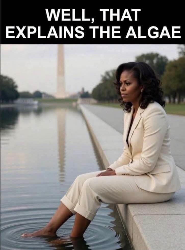 WELL, THAT EXPLAINS THE ALGAE