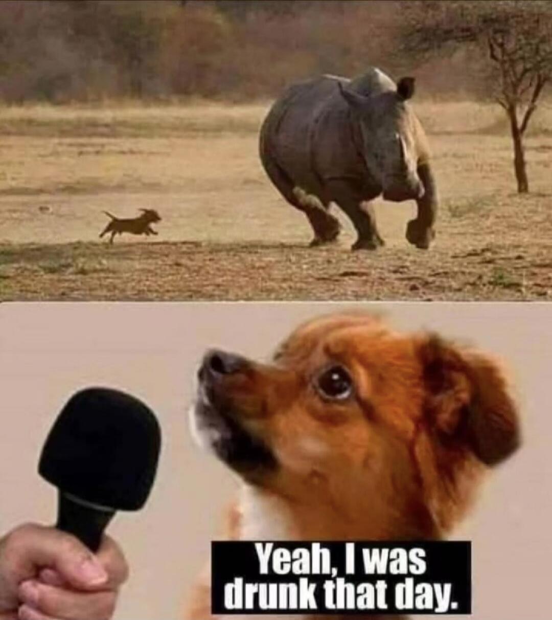 Yeah, I was drunk that day.