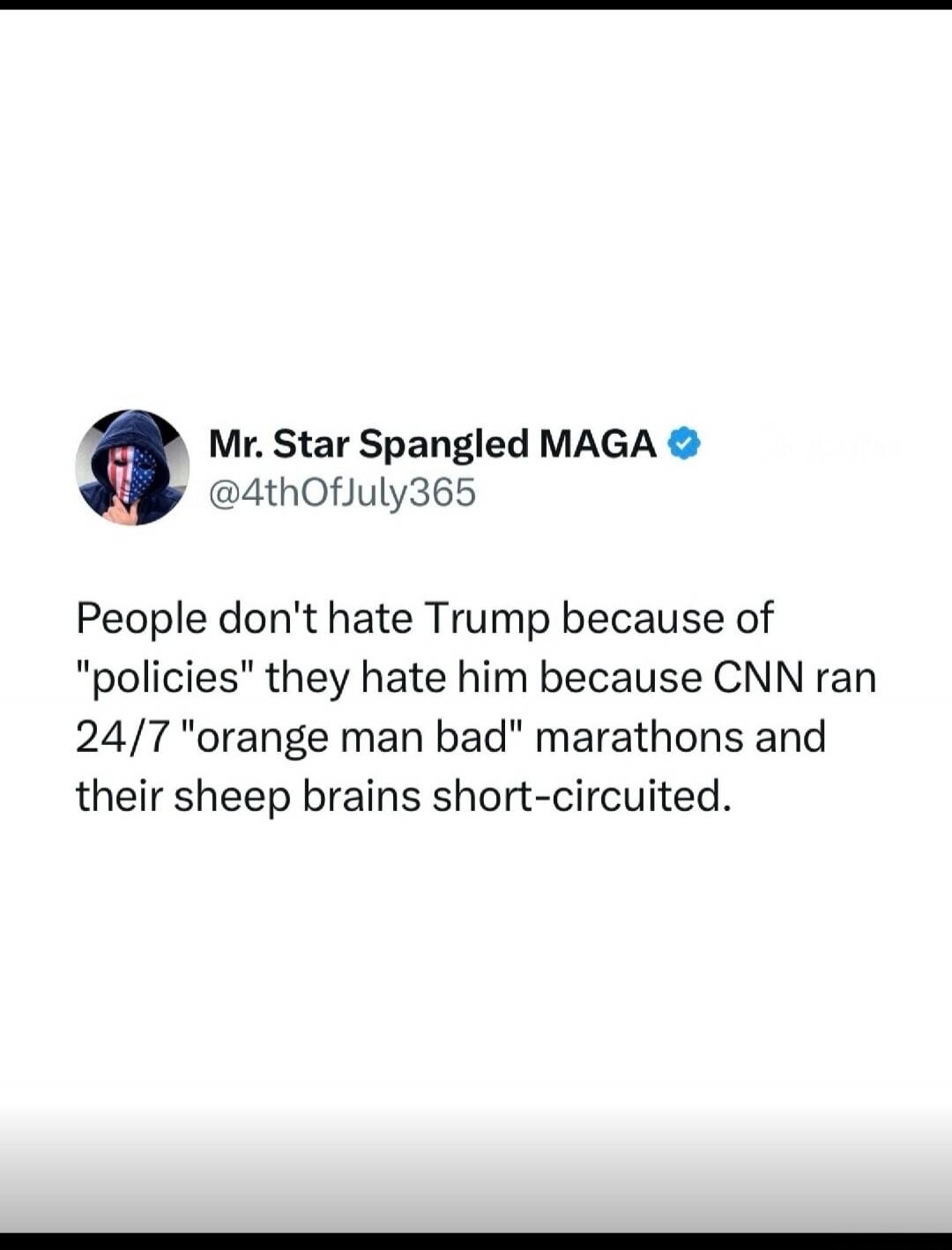 Mr. Star Spangled MAGA @4thOfJuly365 People don't hate Trump because of 