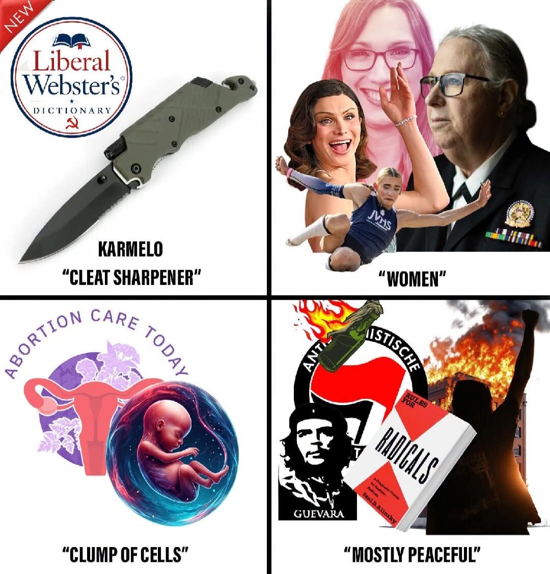 NEW Liberal Webster's Dictionary KARMELO 