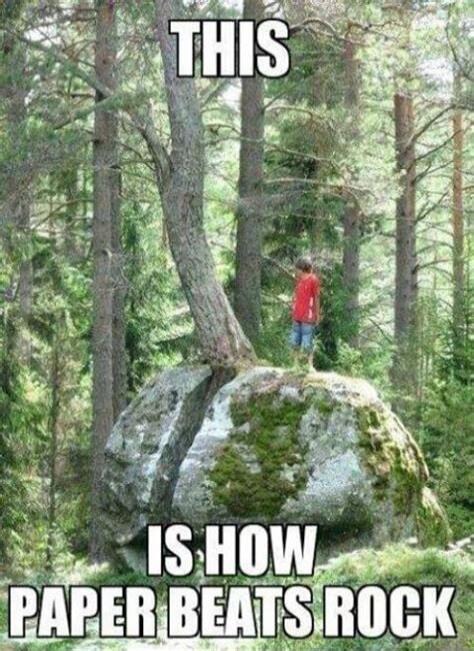 THIS IS HOW PAPER BEATS ROCK