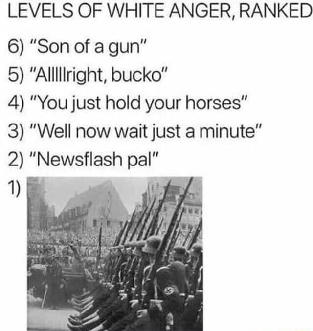 LEVELS OF WHITE ANGER RANKED 6 Son of a gun 5 Allllliright bucko 4 You just hold your horses 3 Well now wait just a minute 2 Newsflash pal Ll W