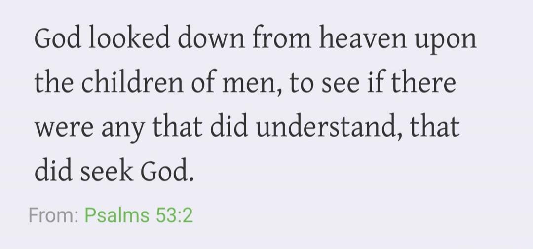 God looked down from heaven upon the children of men, to see if there were any that did understand, that did seek God. From: Psalms 53:2
