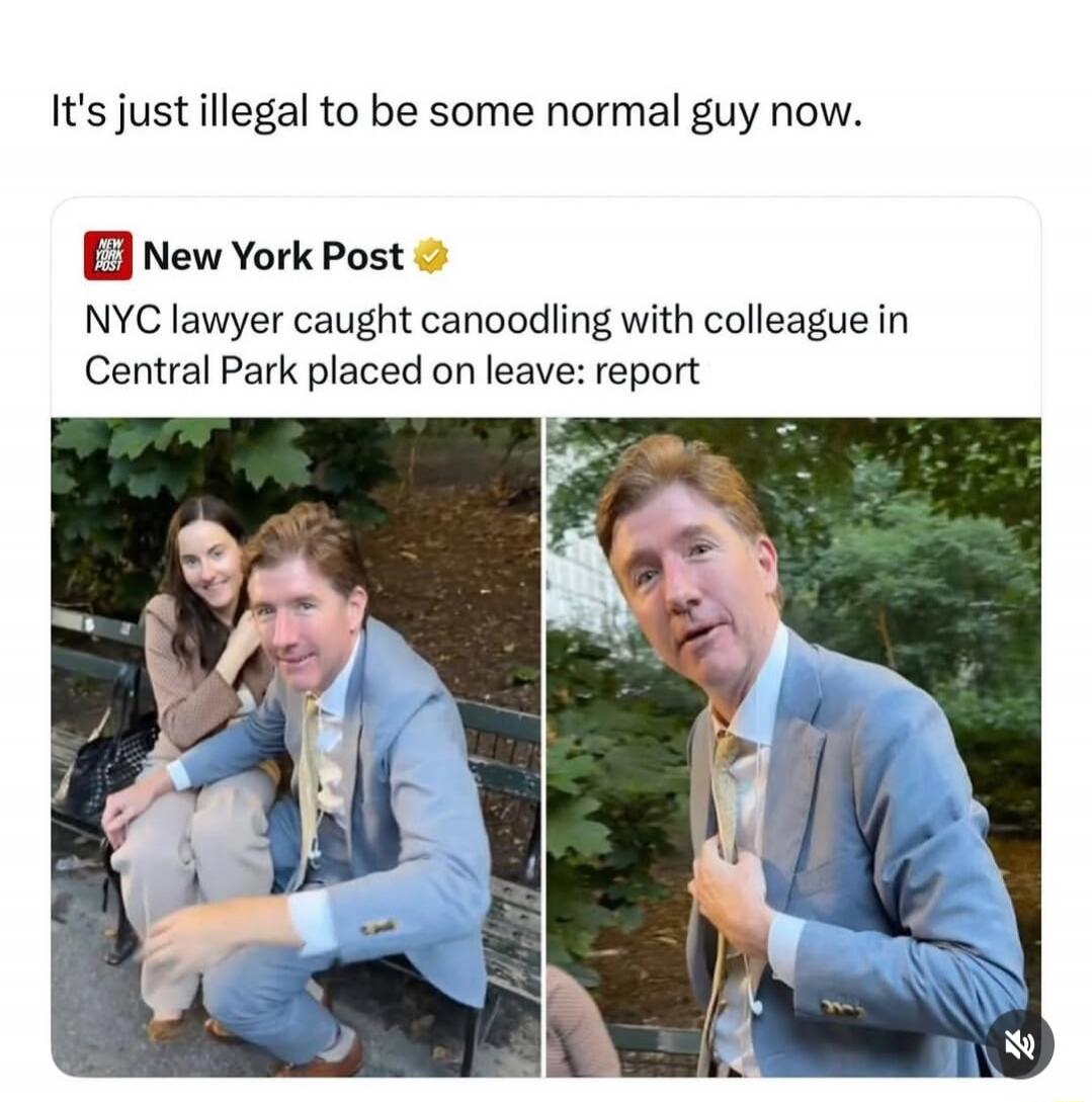 It's just illegal to be some normal guy now. New York Post. NYC lawyer caught canoodling with colleague in Central Park placed on leave: report