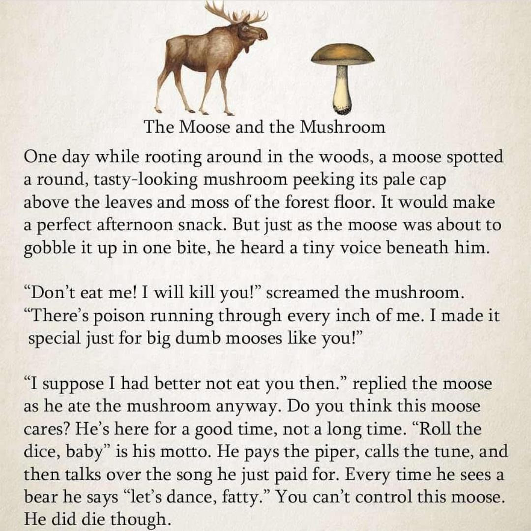 The Moose and the Mushroom One day while rooting around in the woods a moose spotted a round tasty looking mushroom peeking its pale cap above the leaves and moss of the forest floor It would make a perfect afternoon snack But just as the moose was about to gobble it up in one bite he heard a tiny voice beneath him Dont eat me I will kill you screamed the mushroom Theres poison running through eve