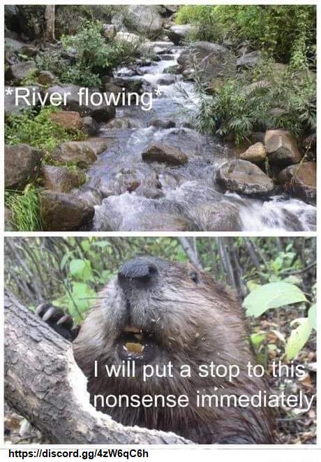 ST hitpsidiscordggzWeqCsh