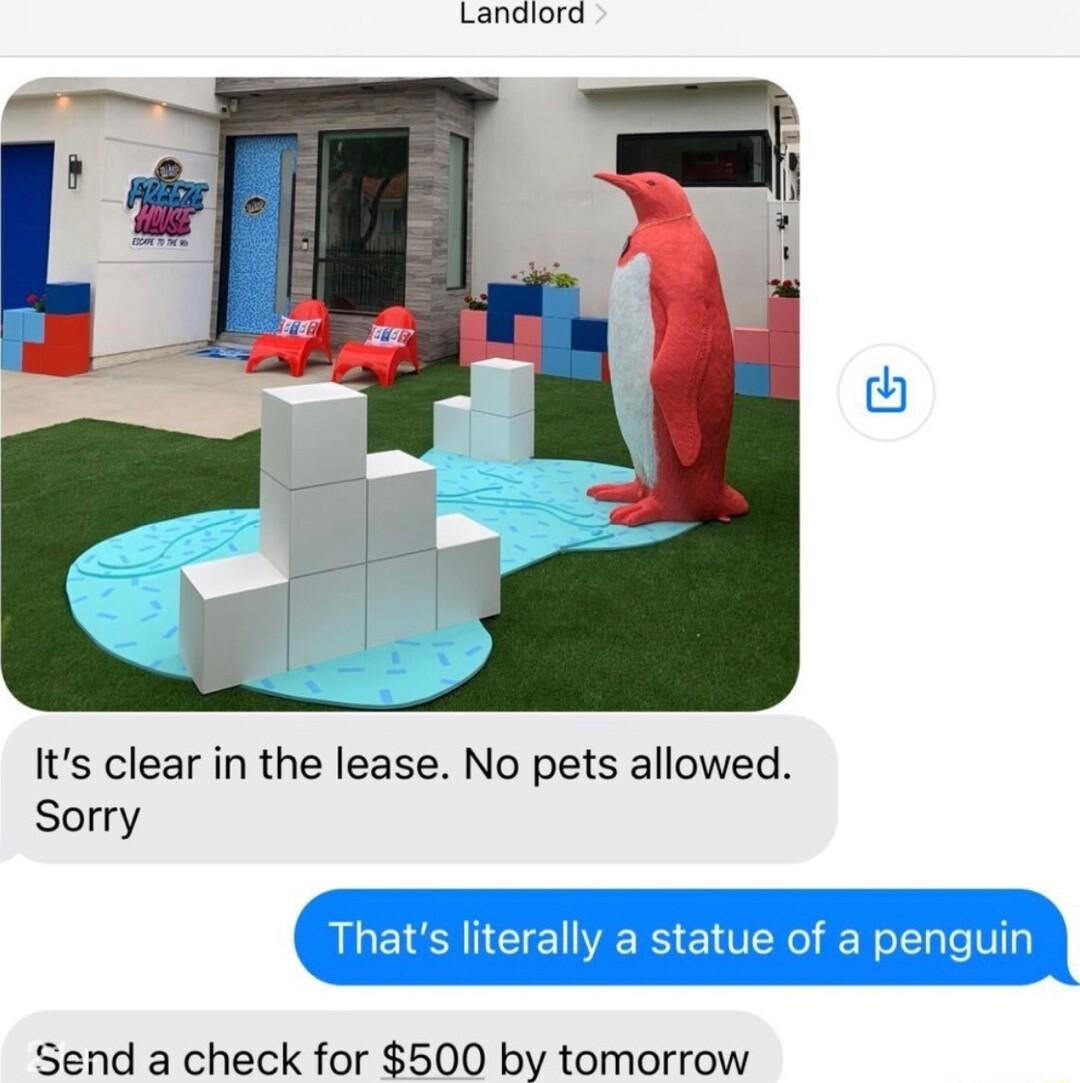 Langiord Its clear in the lease No pets allowed Sorry Send a check for 500 by tomorrow